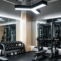 Luminaire suspendu LED en forme de Y de haute qualité, 60 cm, 90 cm, lampe de plafond triangulaire, éclairage pour salle de sport, bureau, studio de danse, luminaires suspendus