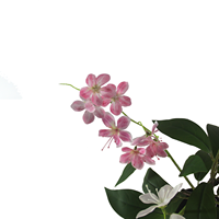 Plante d'intérieur artificielle CHUANGFA de 80 cm, Clerodendrum Wallichii blanc rosé, écologique, décoration de mariage, Halloween, toujours vert