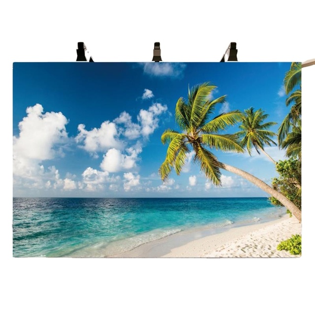 Hawaiian Landscape Beach Photo Material Photography Background Cloth Decoration Banner