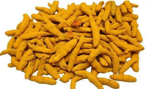 Curcuma frais entier, rhizome indien naturel, épice Haldi - Product Image 2