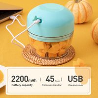 Hot Selling Model 45W 300ML Rechargeable Portable Food Processor Chopper Mini Garlic Food Chopper