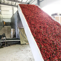 Légumes déshydratés, sécheuse à bande transporteuse à mailles pour séchage catalytique