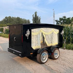 Carrozza Reale Elettrica di Lusso 2026: Ultima Scultura Europea di Carrozza Senza Cavalli per Festival, Matrimoni e Set Cinematografici - Product Image 2