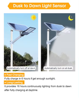 Lampe de rue LED solaire à détecteur de mouvement IP65 300W, haut lumen pour route, parking, paysage, jardin, cour, agriculture
