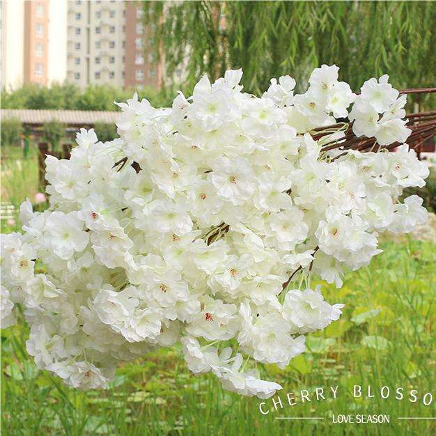 Crittografia 3 fork bianco