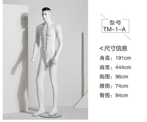 Glasvezel Full Body Lifestyle Naakt Sexy Hot Realistisch Uitziende Levensechte Make-Up Mannelijke Naakte Mannequin Mannequin Doekdisplay