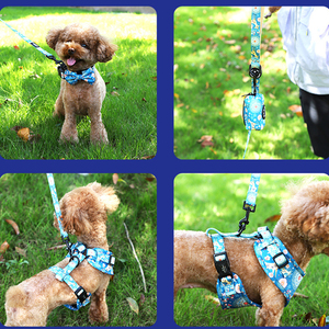 Famicheer Vente en gros Petit harnais Ensemble chien Produit pour animaux de compagnie de haute qualité Harnais et laisse pour chien - Product Image 6