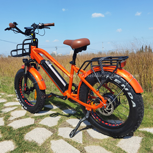 Expédition rapide Vélo électrique pour enfants de <span class=keywords><strong>20</strong></span> <span class=keywords><strong>pouces</strong></span> Pneu gras Step Thru E-Bike 48V 750W Vélo électrique pour enfants Vélo de ville électronique - Product Image 3