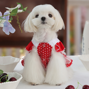 Abito da Principessa Rosso Squisito Ispirato a Lolita per <span class=keywords><strong>Cani</strong></span> <span class=keywords><strong>di</strong></span> Piccola Taglia in Poliestere a Pois - Personalizzazione B2B Transfrontaliera - Product Image 3