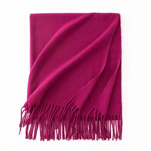 Bufanda de invierno 2026 al por mayor con tacto de cachemira para mujer, chal suave de lujo personalizado estilo coreano, venta directa de fábrica - Product Image 4