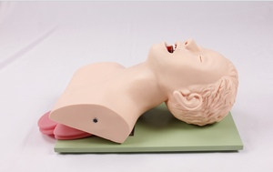 Manichino per Addestramento Adulti, Modello per Studio e Insegnamento dell'Intubazione, Trainer per Gestione delle Vie Aeree in PVC per Studenti di Scienze Mediche - Product Image 2