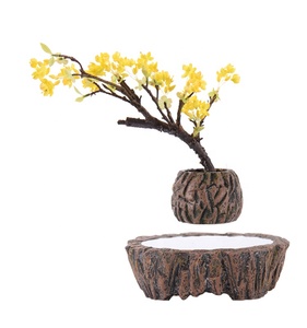 Béton créatif bonsaï lévitation magnétique Pots de fleurs flottants Bonsaï <span class=keywords><strong>Pot</strong></span> et jardinières Résine Succulent Pots de fleurs - Product Image 5
