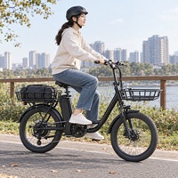 Vélo cargo électrique robuste tout-terrain avec freins hydrauliques et transmission par moyeu arrière pour routes urbaines mixtes