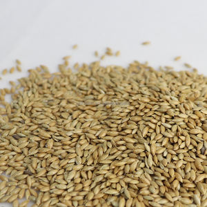 Bulkprijs Vink Vogelvoer 25Kg Groot Pakket Kanariezaad Voor Groene Vinken - Product Image 2