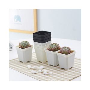 Bac à jardinage en plastique transparent coloré, petit carré, coloré, <span class=keywords><strong>pour</strong></span> pépinière, bonsaï, planteur de plantes, <span class=keywords><strong>Pot</strong></span> de fleur - Product Image 1