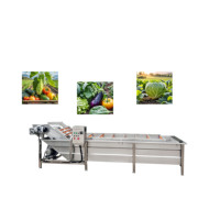 Ligne Ananas Orange Mangue Ail Pomme Laveuse Tomate Pommes Machine À Laver