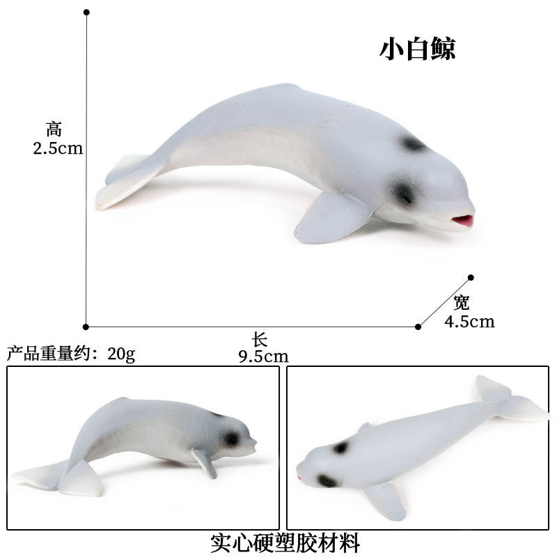 baleine béluga colorée 453
