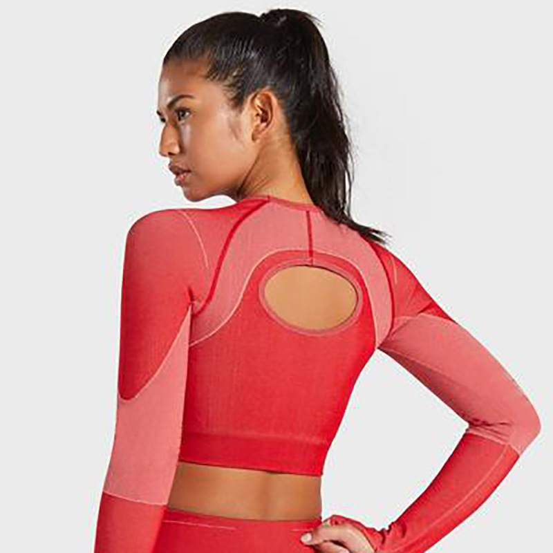 Hot Sale 3 colors  Factory Wholesale Women Seamless Bandeau Strapless Girl Sexy long sleeve Popular fitness