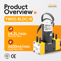 12v 24v Brushless BLDC Mini Électrique Portable Diaphragme Pompe À Air Laboratoire Médical Échantillonnage De Gaz Piézoélectrique Micro Pompe