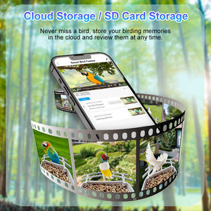 <span class=keywords><strong>Nichoir</strong></span> en bambou éco-certifié européen Caméra HD portable moderne d'observation des oiseaux pour l'alimentation <span class=keywords><strong>Nichoir</strong></span> pour la visualisation à distance Puissance de charge - Product Image 4