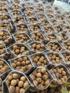 Dried Soft Lychee Yummy Snack <b>Fruit</b> 100% Dried <b>Fruit</b> Products From Vietnam - High Quality Natural Lychee Delicious - Product Image 2