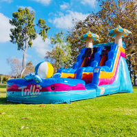 Toboggan aquatique gonflable commercial pour enfants et adultes, grand château gonflable pas cher