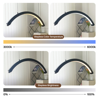 Lampe de beauté professionnelle à suspension, réglable en hauteur, rétractable, pour salon de manucure, extension de cils et tatouage