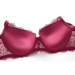 Women's <b>Sexy</b> Breathable Lace Push-Up <b>Bra</b> and Hipster Panty <b>Set</b> - Product Image 4