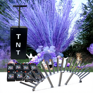 Canon à Confettis Personnalisable pour Événements, Fournitures de Fête, Nouveau Design, Lanceur de Confettis, Feux d'Artifice, Bombes Fumigènes pour Mariage et Révélation du Sexe - Product Image 2