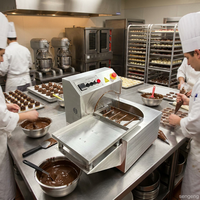 Mini machine à tempérer le chocolat, petite machine à mouler et à faire fondre, machine à enrober et à recouvrir le chocolat