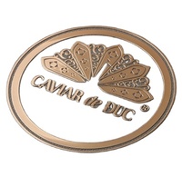 Lettres métalliques auto-adhésives personnalisées étiquettes minces électroforme or Nickel 3d Logo transfert en relief décalcomanies autocollants en métal