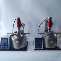 Equipo Químico de Acero Inoxidable 316/304, Reactor Autoclave Paralelo de Alta Presión para Uso en Laboratorio, Automático