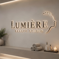 Lettres rétroéclairées en acier inoxydable 3D personnalisées, logo lumineux LED pour salon de beauté, clinique esthétique, décoration murale