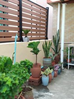 Kit de clôture de jardin en wpc composite résistant aux fissures de haute qualité