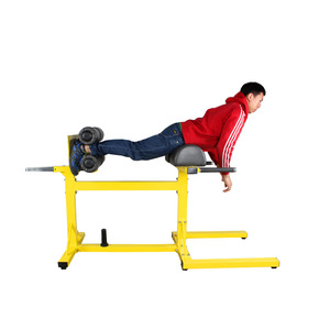 Bft tập thể dục thiết bị phòng tập thể dục có thể điều chỉnh gân kheo trở lại băng ghế dự bị ngang Roman ghế máy - Product Image 1