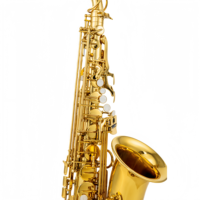 Customized Brass Body Eb Alto Saxophone Gold Lacquer Finish Professional Elbow Wind Instrument for Beginner with Accessories