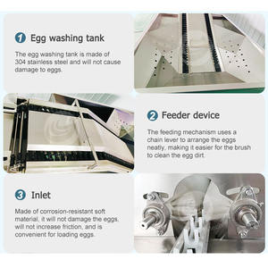ORME endüstriyel yumurta fırça temizleyici otomatik yumurta yıkayıcı makine ördek yumurta yıkama makinesi - Product Image 5