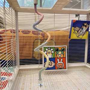 Écologique Luxe Oiseau Jouet Perroquet Suspendu Balançoire <span class=keywords><strong>Corde</strong></span> À Mâcher Fournitures Échelle Bâton En Nylon Extérieur Stress Ennui Soulagement - Product Image 5