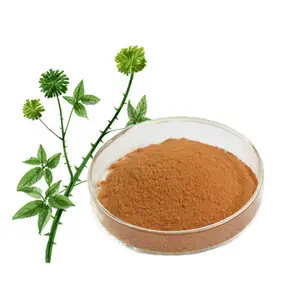 Chinese Traditional Herb Siberian Ginseng Root Extract Powder
