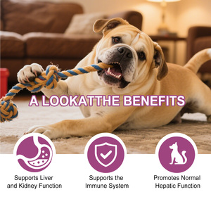 Gotas <span class=keywords><strong>de</strong></span> Cardo Mariano para Perros 60ml, Extracto <span class=keywords><strong>de</strong></span> Cúrcuma, Omega 3, Apoya la Desintoxicación del Hígado, Vitalidad <span class=keywords><strong>de</strong></span> la Piel, Suministro Directo <span class=keywords><strong>de</strong></span> Fábrica - Product Image 2