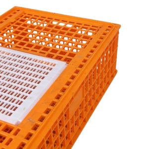 Cesta <span class=keywords><strong>de</strong></span> Transporte Apilable <span class=keywords><strong>de</strong></span> Plástico para Aves <span class=keywords><strong>de</strong></span> Corral, Jaula Ventilada para Pollos con Tapa, Cajas Resistentes para Transporte <span class=keywords><strong>de</strong></span> Pollos en Granjas, Caja para Codornices - Product Image 2