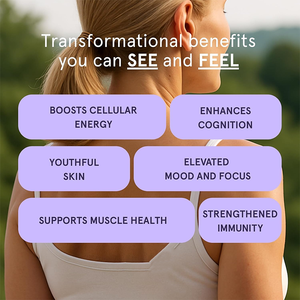 Complément en poudre de collagène NAD+ sans sucre, saveur limonade naturelle, marque privée OEM, avec resvératrol, biotine et vitamine C - Product Image 4