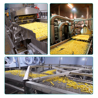 Complete fruit- en groenteverwerkingslijn voor het maken van frieten, chips en zetmeel, inclusief wassen, schillen, snijden en frituren