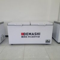 Congélateur Coffre Commercial Grande Capacité 1000 Litres, 1000*780*950mm, Réfrigérateur à Congélation Rapide avec Style Mono-Température