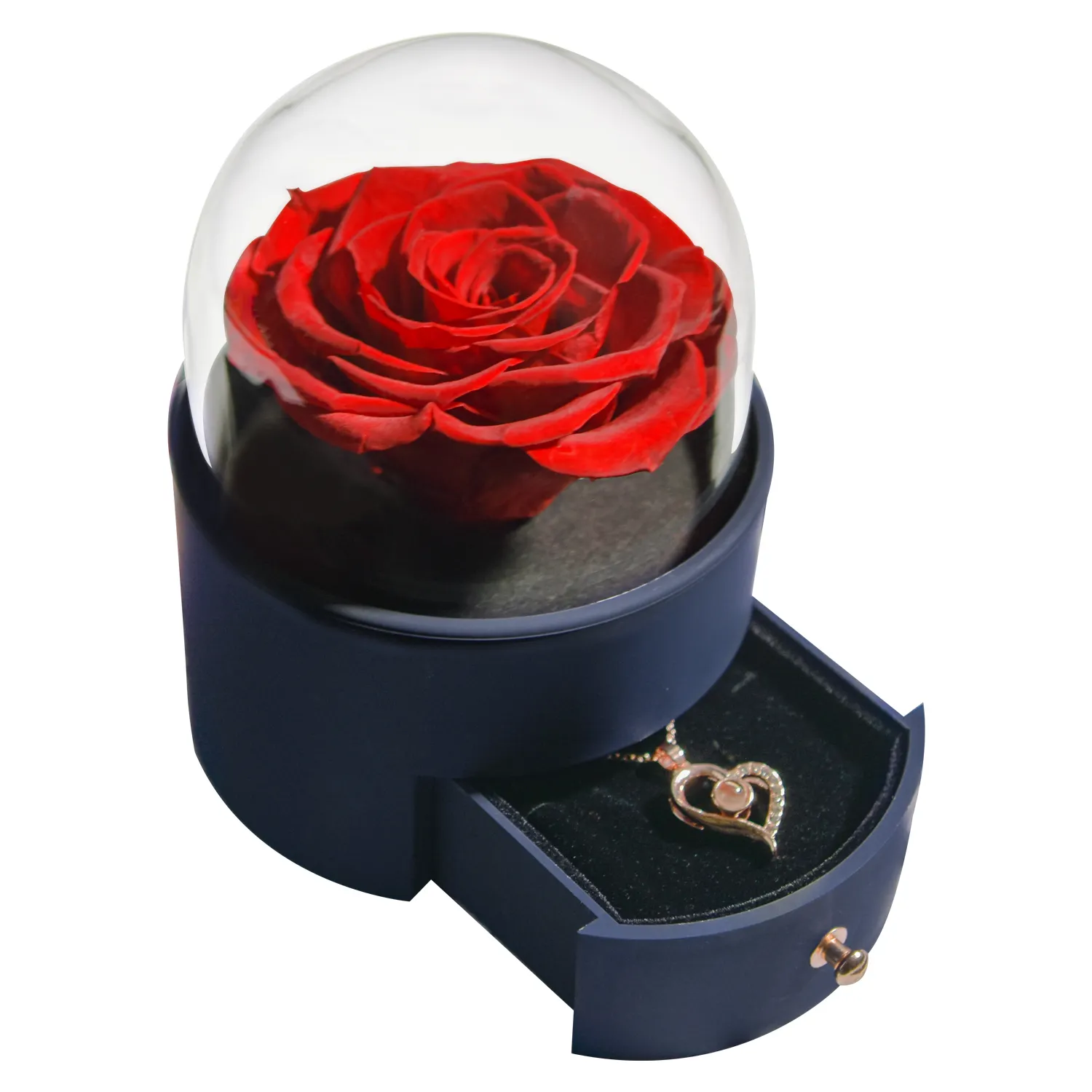Boîte à bijoux en acrylique avec collier, roses éternelles dans le verre, idée de cadeau de la saint-valentin, pour la fête des mères, nouvelle tendance