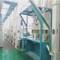 Alibaba — moulin à riz professionnel, 30T/D, vente en gros