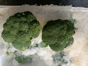 <span class=keywords><strong>Broccoli</strong></span> freschi di alta qualità <span class=keywords><strong>broccoli</strong></span> freschi di fabbrica a basso prezzo - Product Image 3