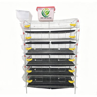 Nouvelle Cage Commerciale pour Cailles en Acier Galvanisé, Conception en H, Longueur 1,2 m, Automatisée, 6 Niveaux, Capacité 360, pour Élevage en Batterie, avec Abreuvement