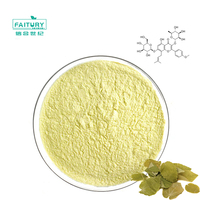 Faitury Vente en gros Poudre d'icariine à 98% Poudre d'extrait d'Epimedium