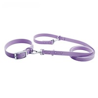 Ensemble collier et laisse pour chien en PVC imperméable, souple et réglable, pour accessoires colorés pour la promenade, personnalisable avec breloques